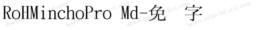 RoHMinchoPro Md字体转换